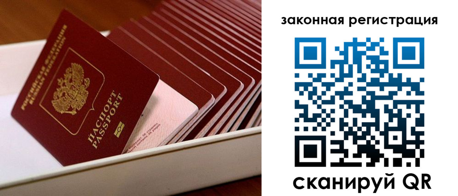 временная регистрация в Павловском Посаде